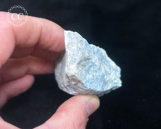 Violan Specimen #1
