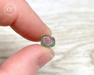 Watermelon Tourmaline Polished #2