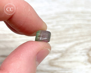 Watermelon Tourmaline Polished #2