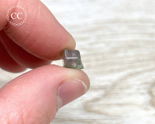 Watermelon Tourmaline Polished #2