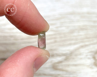 Watermelon Tourmaline Polished #3