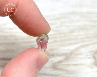 Watermelon Tourmaline Polished #3