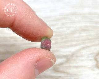 Watermelon Tourmaline Polished #1