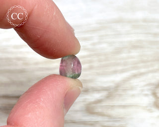 Watermelon Tourmaline Polished #1
