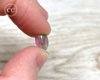 Watermelon Tourmaline Polished #1