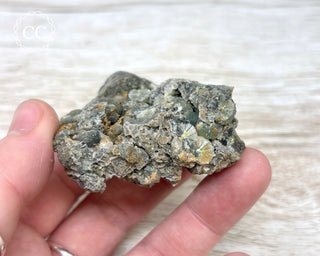 Wavellite Specimen - Arkansas #6