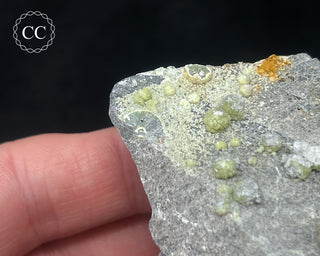 Wavellite Specimen #4