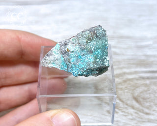 Wherryite & Alamosite Specimen #1