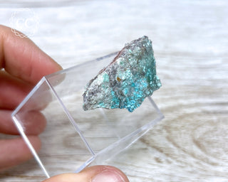 Wherryite & Alamosite Specimen #1