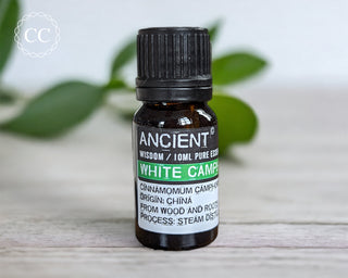 White Camphor Essential Oil on a table