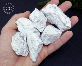 White Howlite Raw Crystals in hand