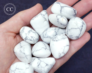 White Howlite Tumbled Crystals in hand
