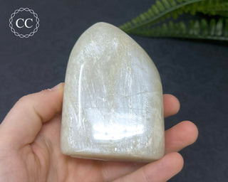 White Moonstone Freeform #4