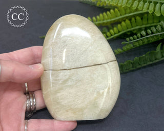 White Moonstone Freeform #4