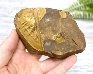 Wildhorse Picture Jasper Oregon #4