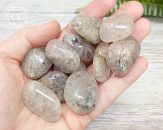 Witches Finger Quartz | White Actinolite in Quartz Tumbled Crystals in hand