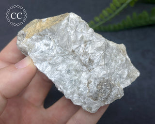 Wollastonite Specimen #1