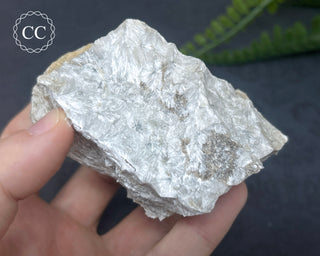 Wollastonite Specimen #1