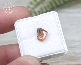 Wulfenite Crystal #5