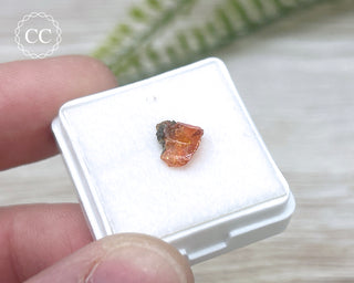 Wulfenite Crystal #5