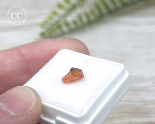 Wulfenite Crystal #5
