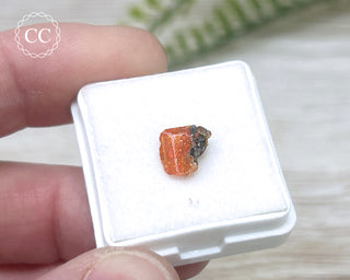 Wulfenite Crystal #5