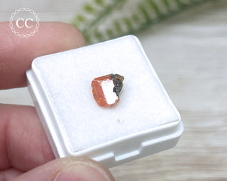 Wulfenite Crystal #5