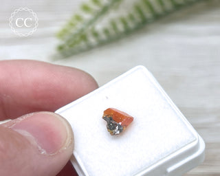 Wulfenite Crystal #5