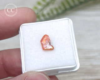 Wulfenite Crystal #8