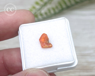 Wulfenite Crystal #8