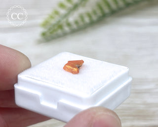 Wulfenite Crystal #8