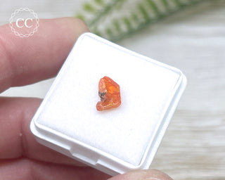 Wulfenite Crystal #8