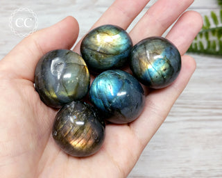 XL Labradorite Tumbled Crystals in hand