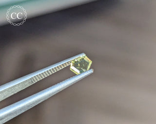 Yellow Sapphire Faceted Gem #1