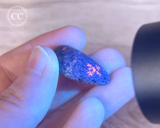 Yooperlite Pebble #5