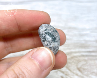 Yooperlite Pebble #1