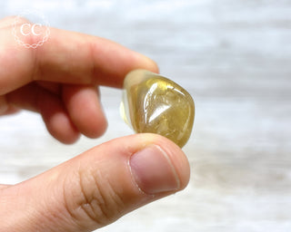 Zambia Citrine Polished #1