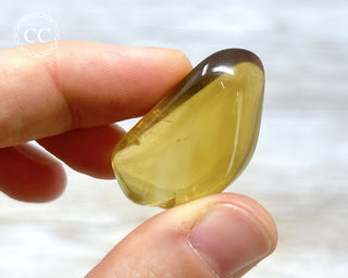 Zambia Citrine Polished #12