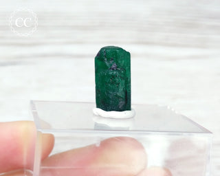 Emerald Crystal - Zambia #2