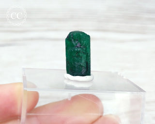 Emerald Crystal - Zambia #2