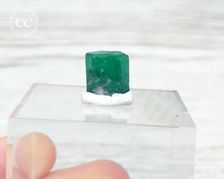 Emerald Crystal - Zambia #1