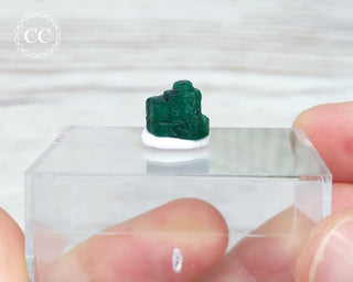 Emerald Crystal - Zambia #4