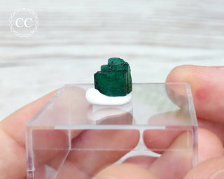 Emerald Crystal - Zambia #4