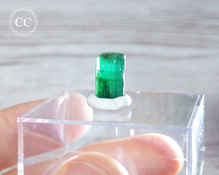 Emerald Crystal - Zambia #5