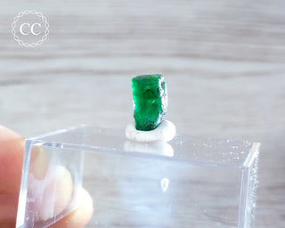 Emerald Crystal - Zambia #7