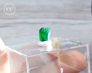Emerald Crystal - Zambia #9