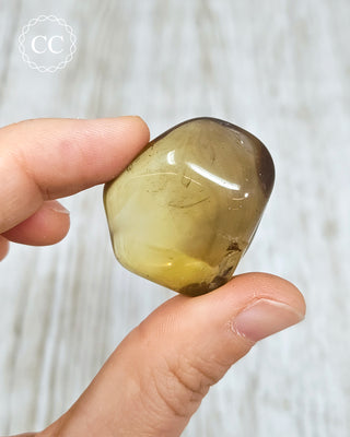 Natural Zambian Citrine Polished Crystal in hand