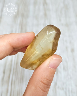 Natural Zambian Citrine Polished Crystal in hand
