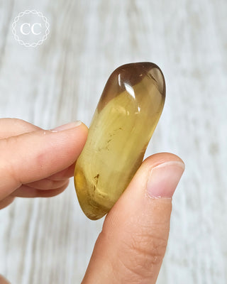 Natural Zambian Citrine Polished Crystal in hand