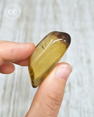 Natural Zambian Citrine Polished Crystal in hand